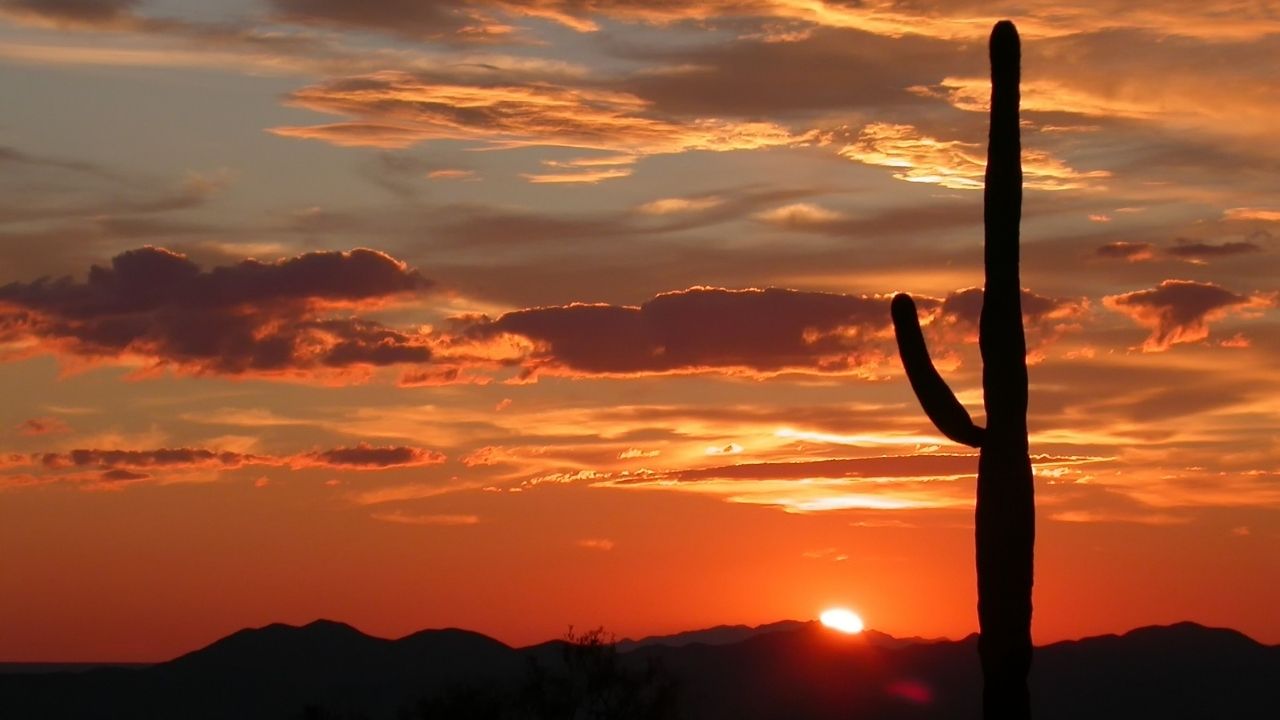 buckeye-arizona-sun