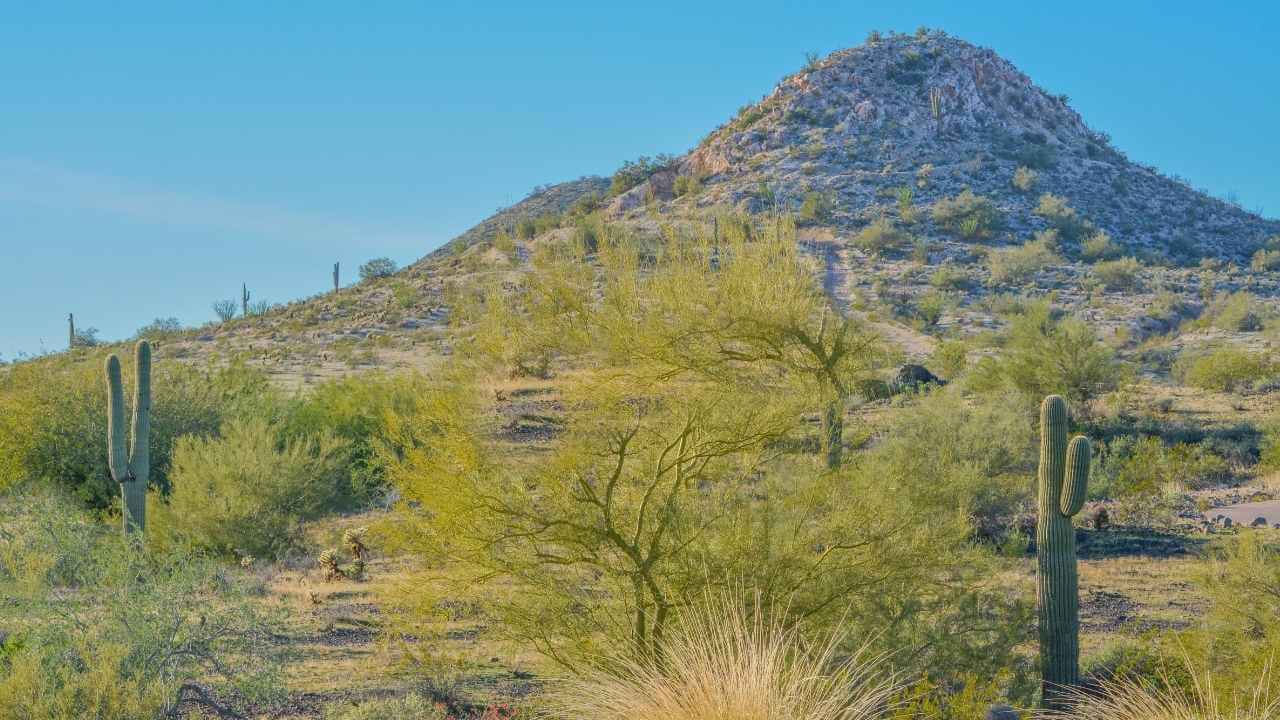 arizona-landscape