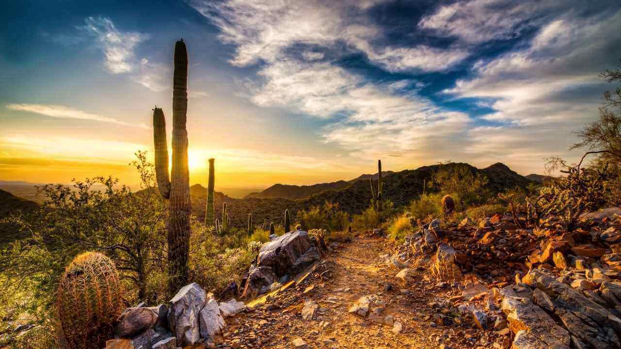 arizona-sunset